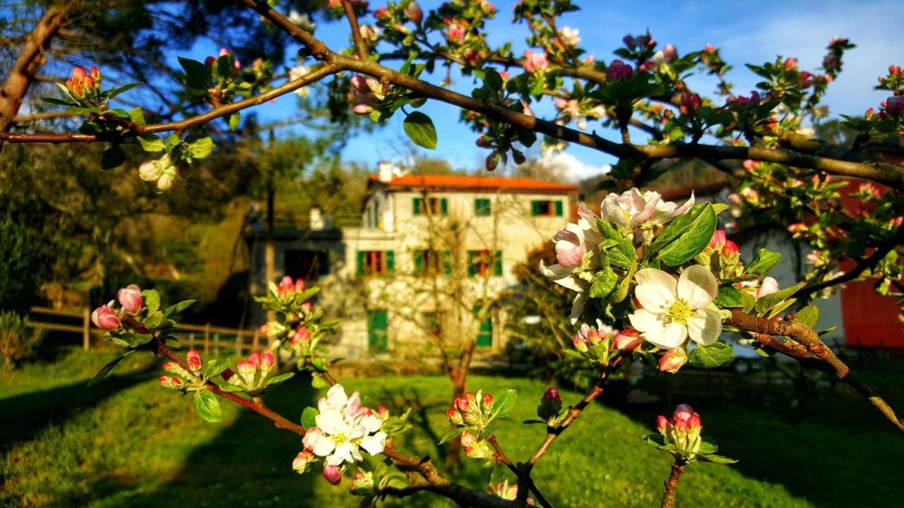 Castiglione Chiavarese B&B Tre Ponti المظهر الخارجي الصورة