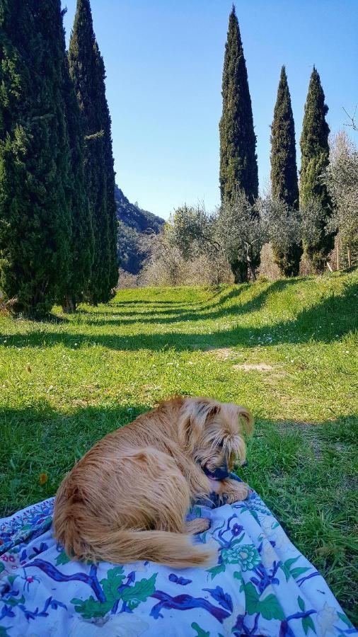 Castiglione Chiavarese B&B Tre Ponti المظهر الخارجي الصورة